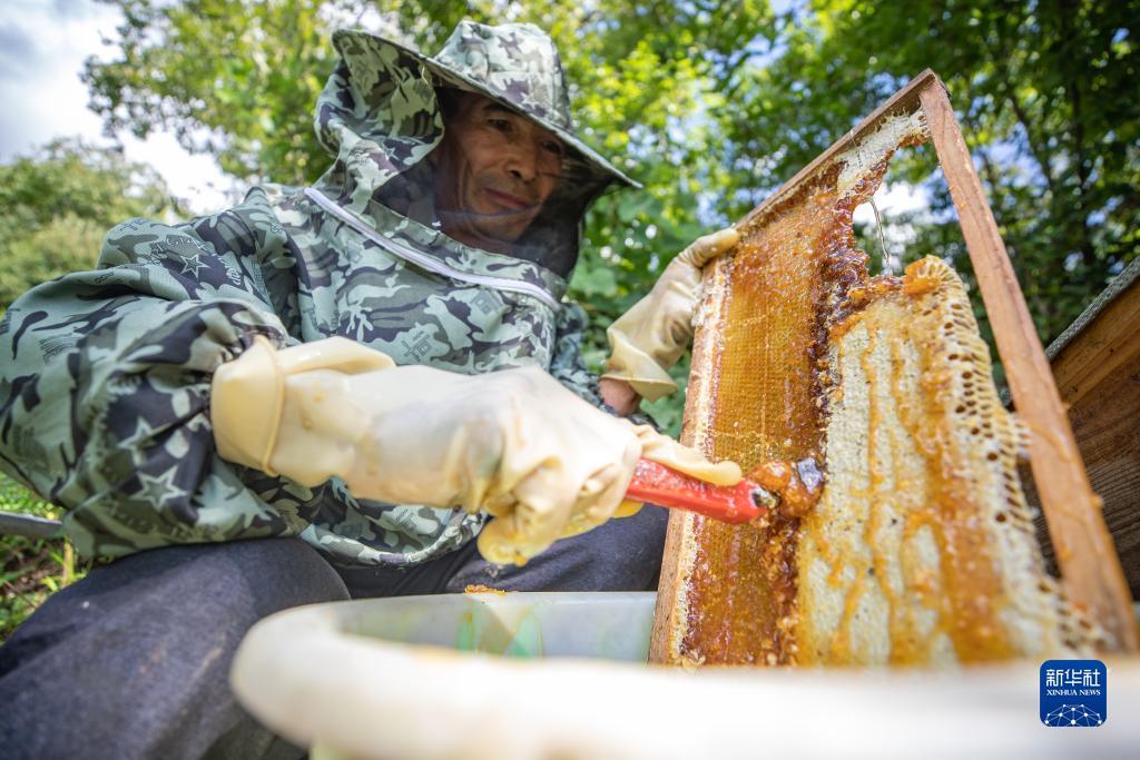 银河真人